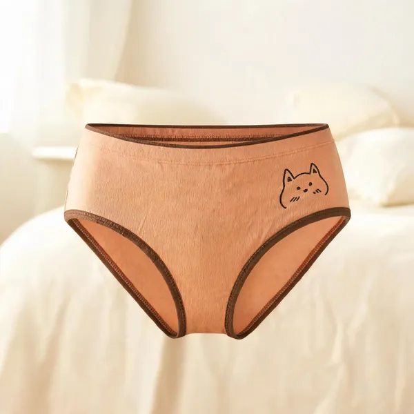 Assorted_Printed_Briefs_For_Women