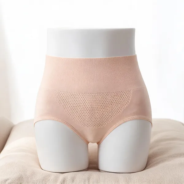 Women_Nylon_High_Waist_Briefs