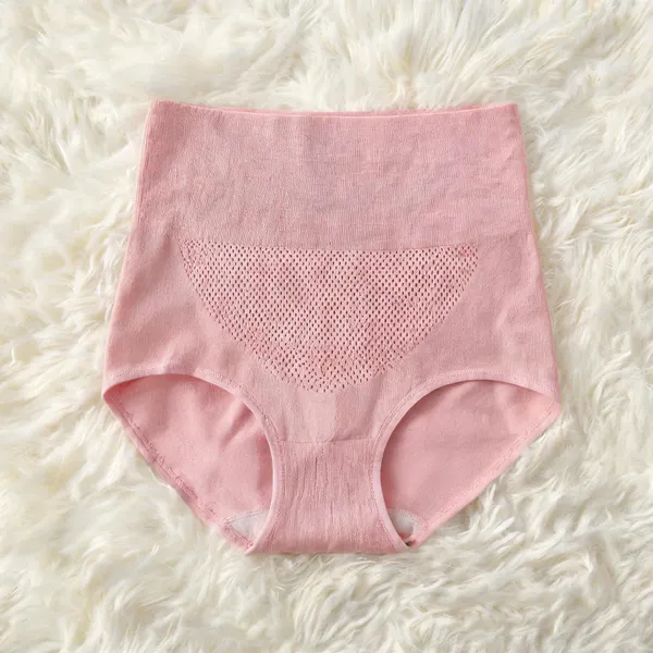 Women_Nylon_High_Waist_Briefs