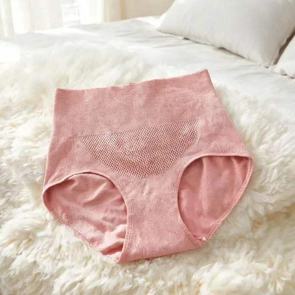 Women_Nylon_High_Waist_Briefs