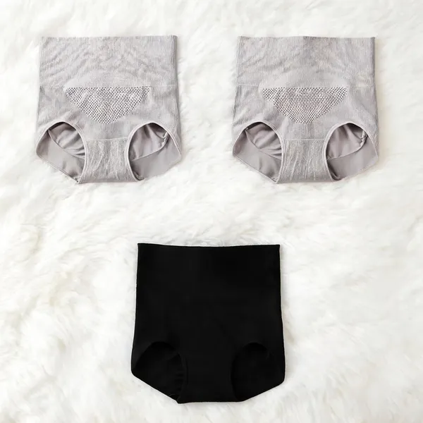 Women_Nylon_High_Waist_Briefs