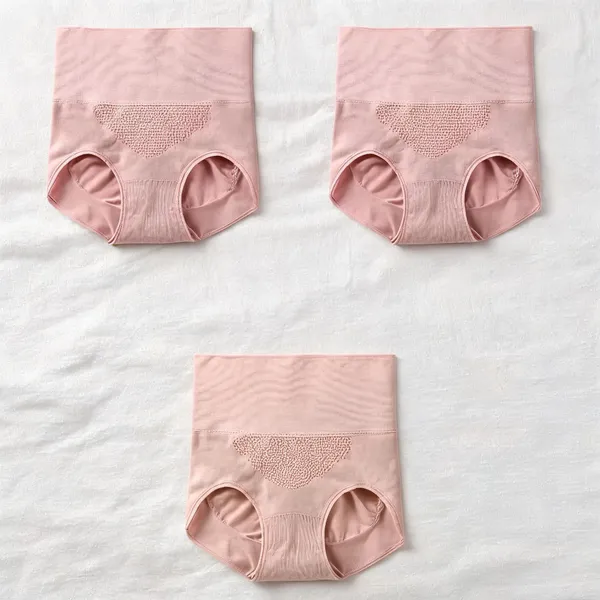 Women_Nylon_High_Waist_Briefs