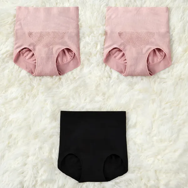 Women_Nylon_High_Waist_Briefs