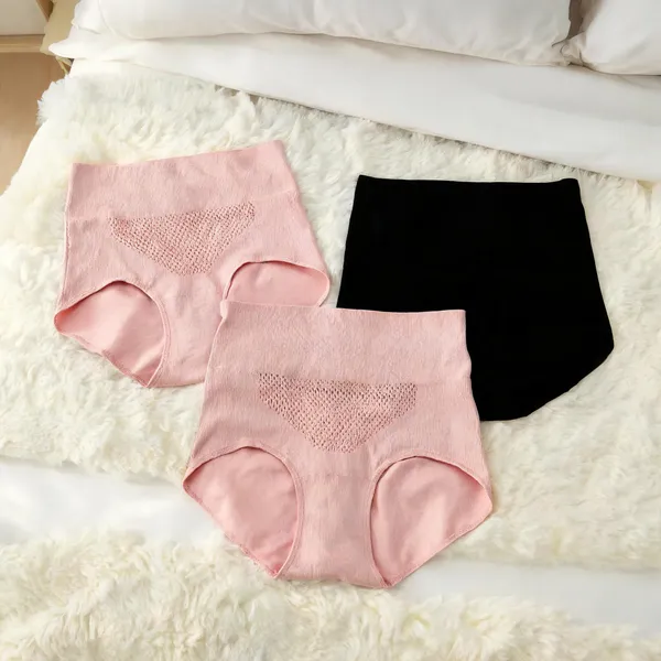 Women_Nylon_High_Waist_Briefs