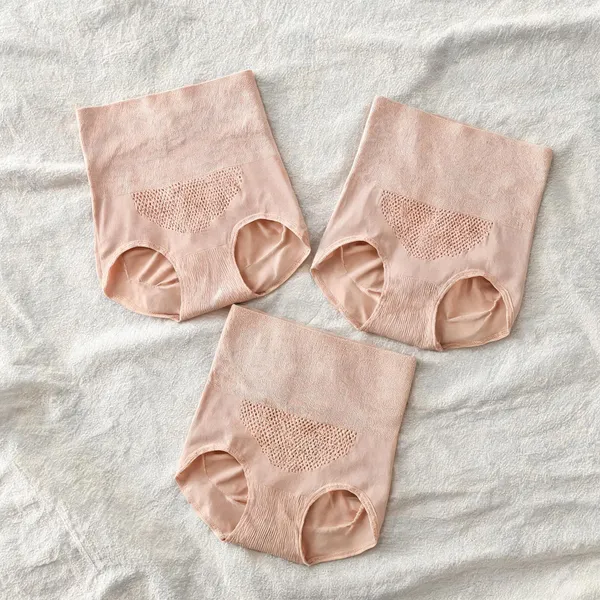 Women_Nylon_High_Waist_Briefs