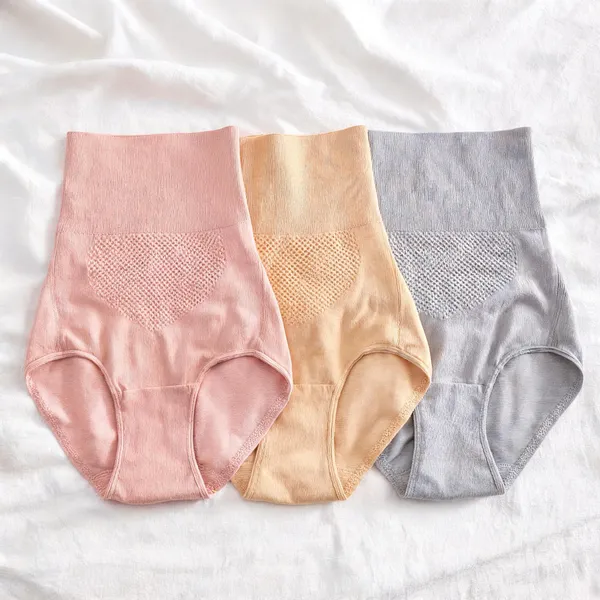 Women_Nylon_High_Waist_Briefs