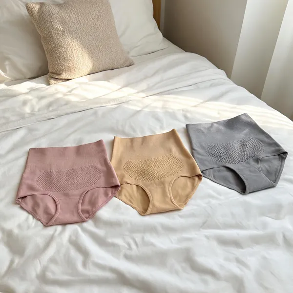 Women_Nylon_High_Waist_Briefs
