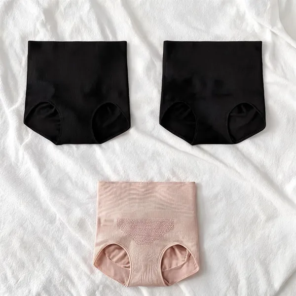 Women_Nylon_High_Waist_Briefs