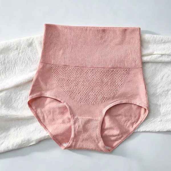 Women_Nylon_High_Waist_Briefs