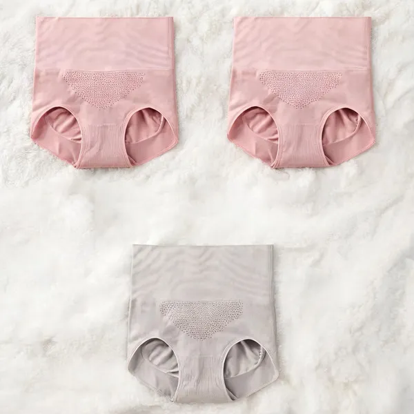 Women_Nylon_High_Waist_Briefs