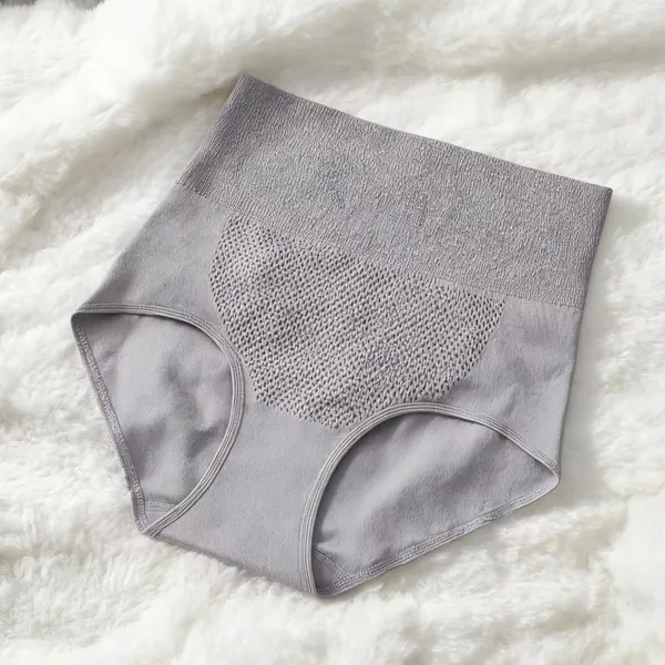 Women_Nylon_High_Waist_Briefs