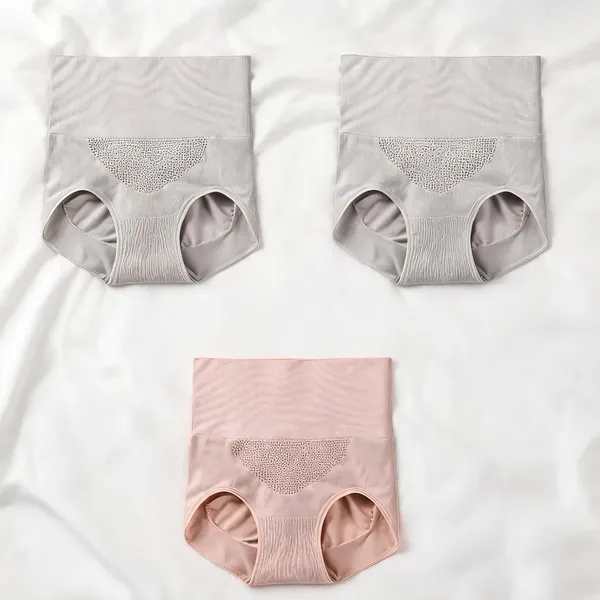 Women_Nylon_High_Waist_Briefs
