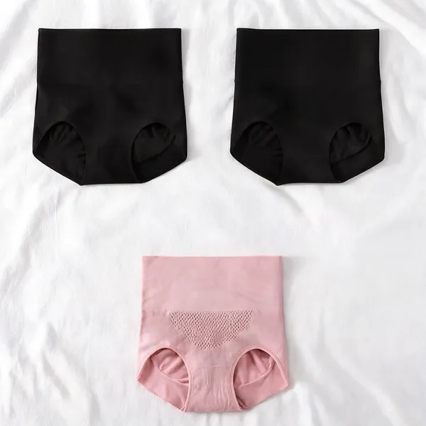 Women_Nylon_High_Waist_Briefs