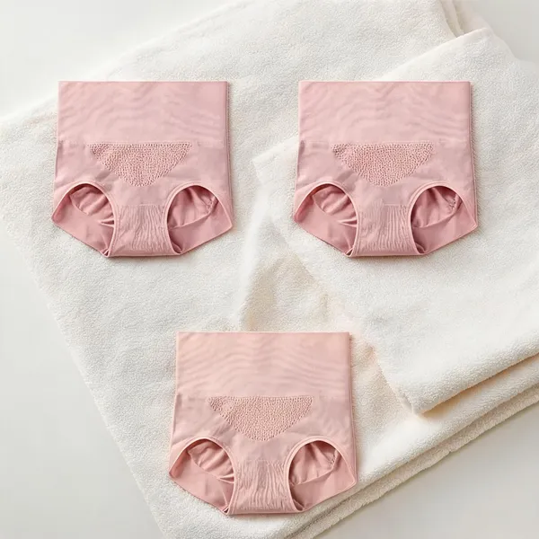 Women_Nylon_High_Waist_Briefs
