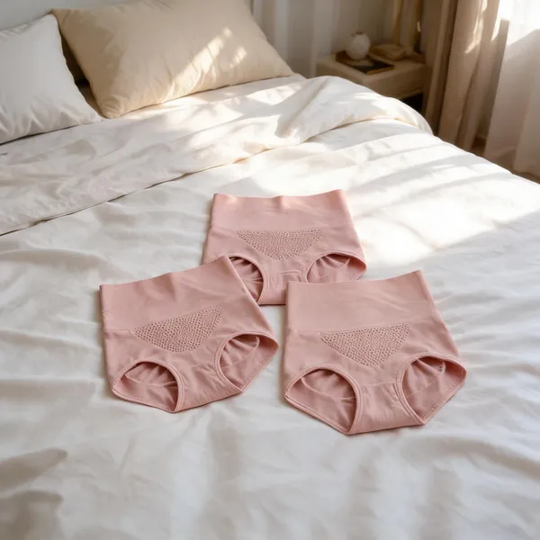 Women_Nylon_High_Waist_Briefs