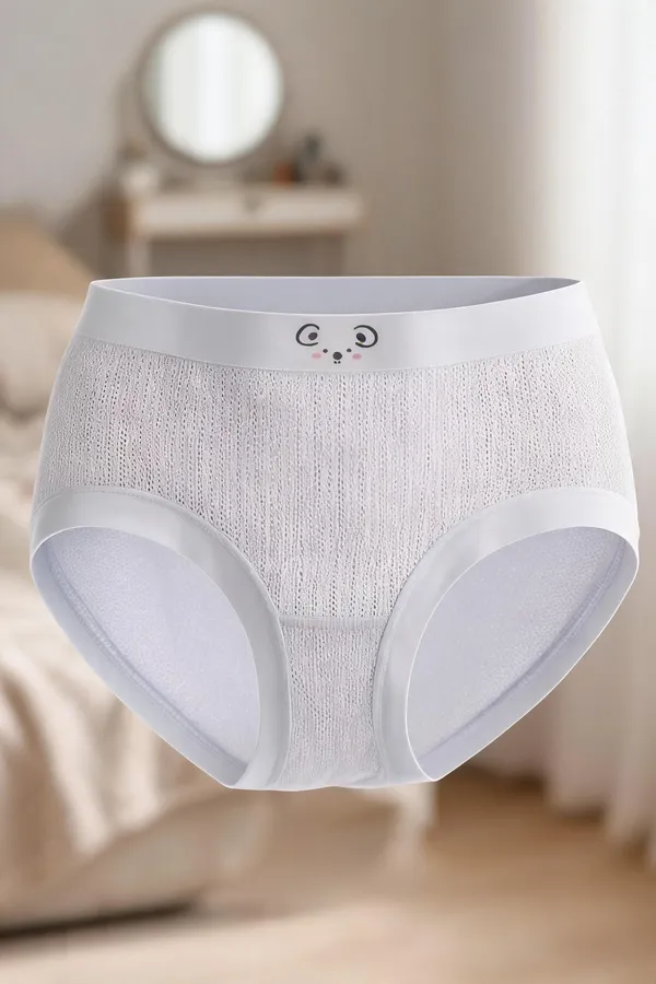 Women_S_High_Waist_Nylon_Panty