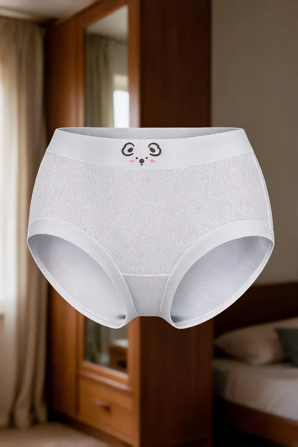 Women_S_High_Waist_Nylon_Panty