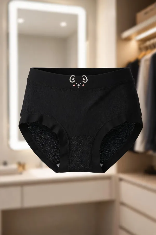 Women_S_High_Waist_Nylon_Panty