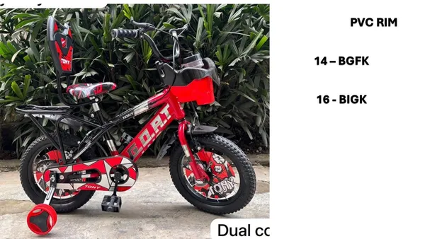 Alpha_20-Inch_Red_And_Black_BMX_Bicycle_With_Training_Wheels