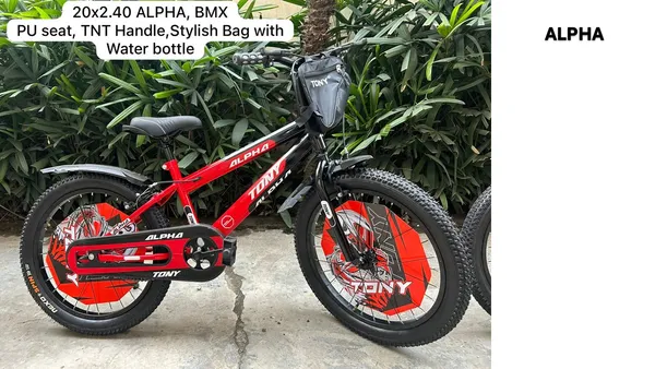 Alpha_20-Inch_Red_And_Black_BMX_Bicycle_With_Training_Wheels
