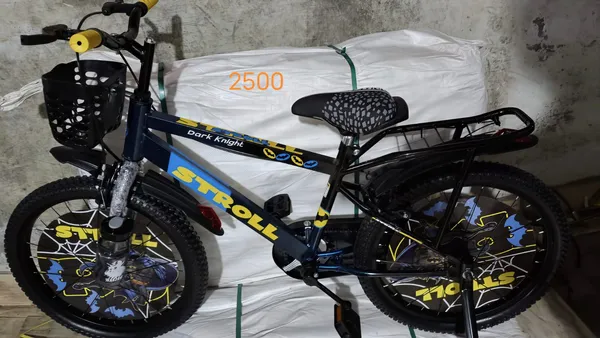 Blue_And_Black_Fat_Tyre_Bicycle_With_Basket