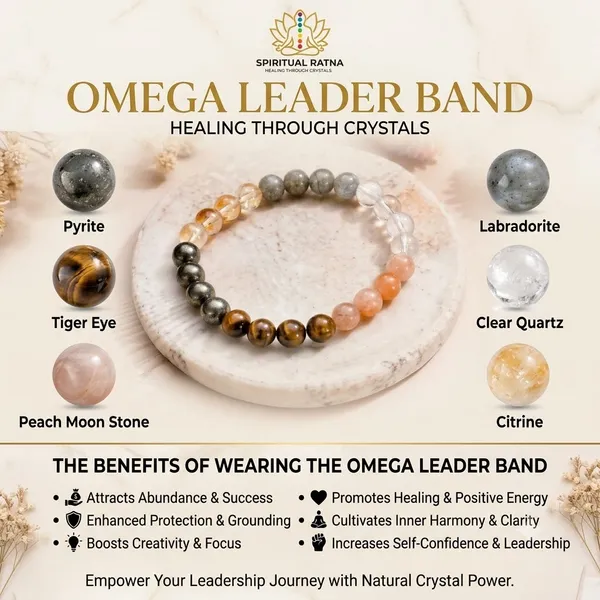 Omega_Leader_Band