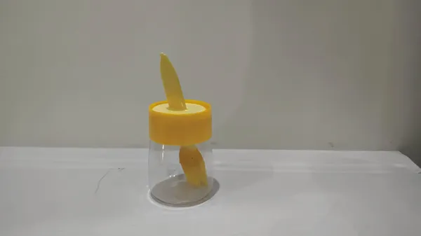 Yellow_Transparent_Baby_Food_Feeder_Spoon