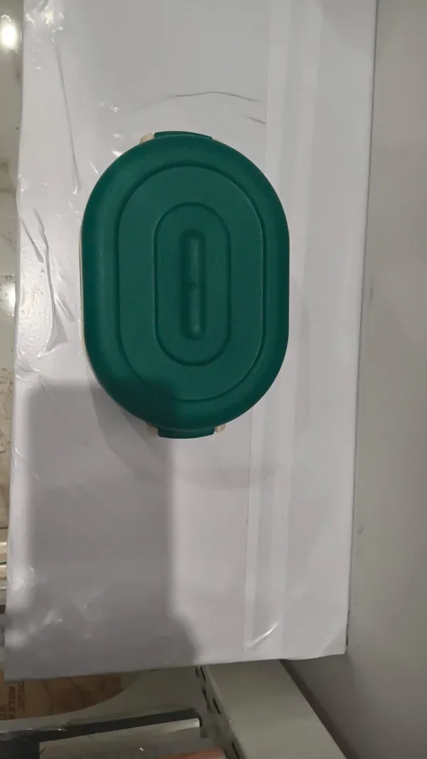 Green_Oval_Tiffin_Lunch_Box