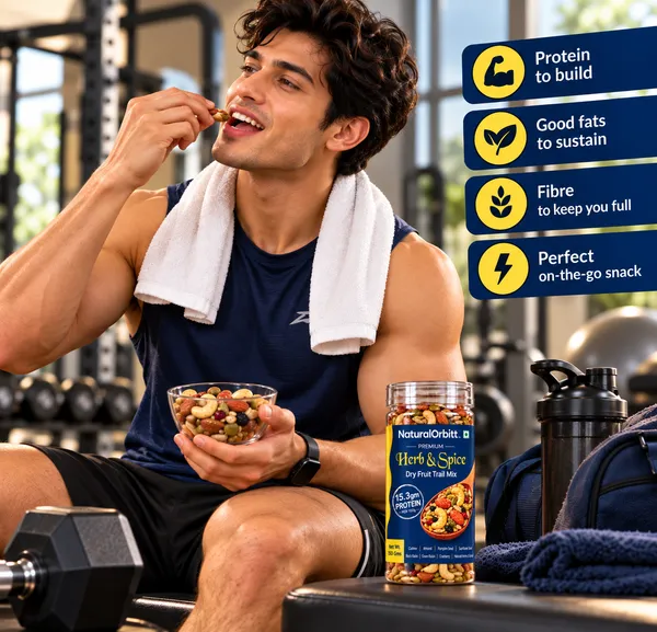 NaturalOrbitt_Herb_&_Spice_Dry_Fruit_Trail_Mix