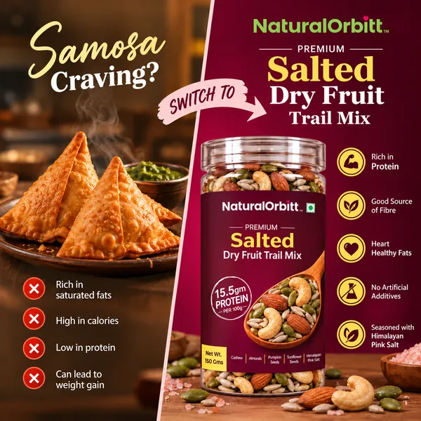 NaturalOrbitt_Salted_Dry_Fruit_Trail_Mix