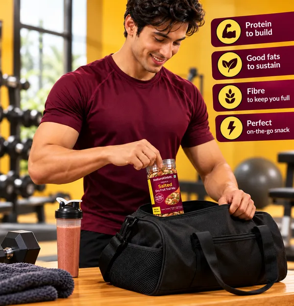 NaturalOrbitt_Salted_Dry_Fruit_Trail_Mix
