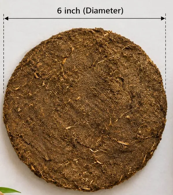 Traditional_cow-dung_cake_Pack_Of_10