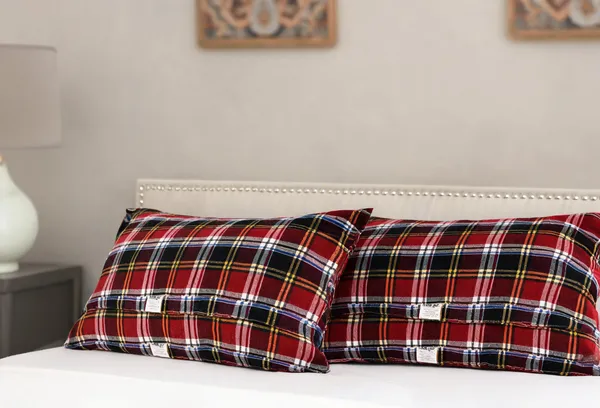 Multicolor_Cotton_Pillow_Bedroom_Set_Of_2