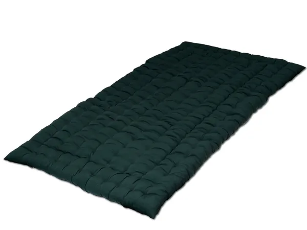 Green_Cotton_Solid_Quilted_Floor_Mattress_Bedroom