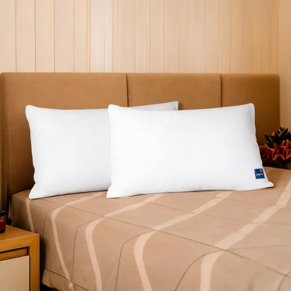 White_Fiber_Plain_Rectangular_Pillow_Bedroom_Set_Of_2