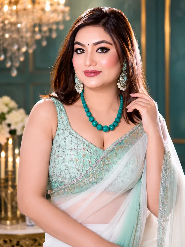 Mint_Embellished_Saree_for_Women
