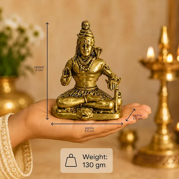 Brass_Shivji_Idol