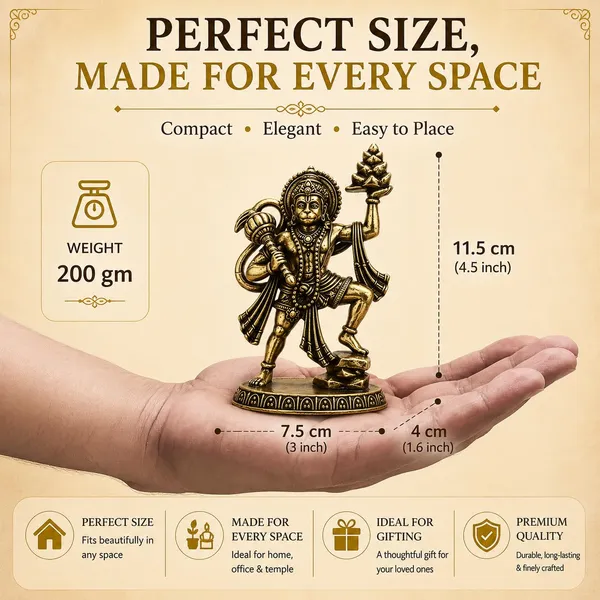 Brass_Hanumanji_with_Sanjeevani_Idol