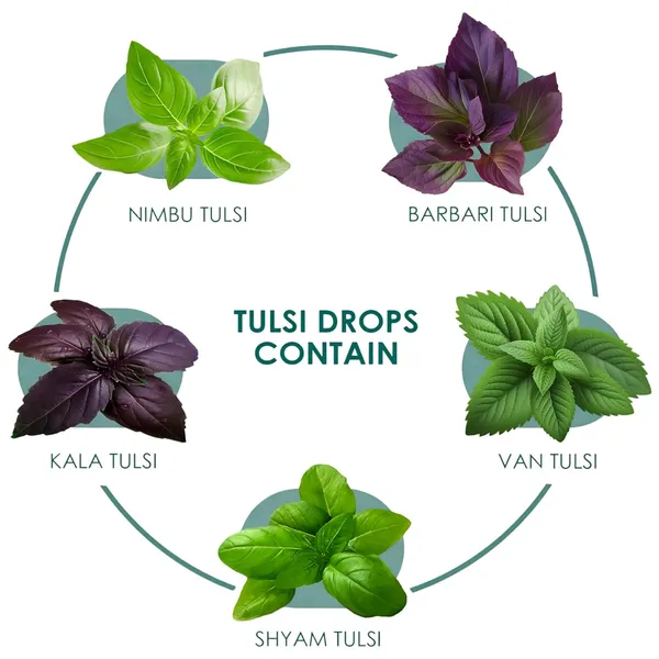 Tulsi_Drops