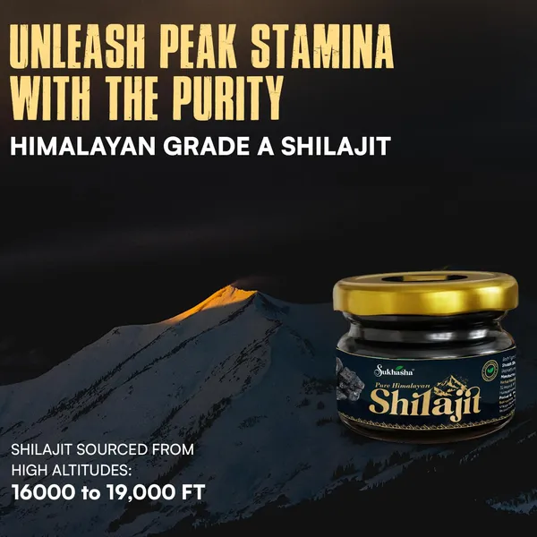 Himalayan_Shilajit_Resin