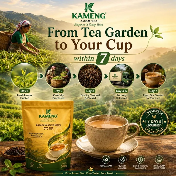 Exclusive_7_Days_Tea_Premium_Ctc_Tea_Assam_Reserve_Malty_Black_Tea