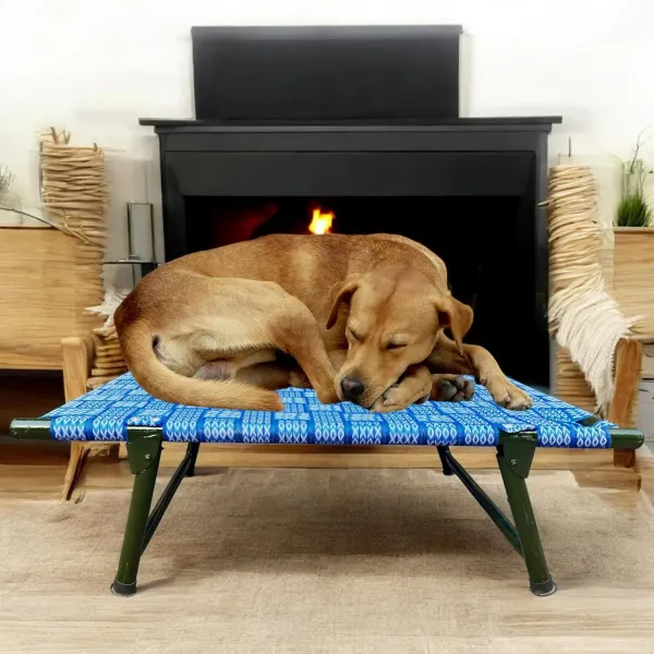 Folding_Dog_Bed_Cot_With_Sturdy_Iron_Frame_42_X_24_Inch_Elevated_Breathable_Pet_Charpai_With_6_Leg_Support_Multicolor