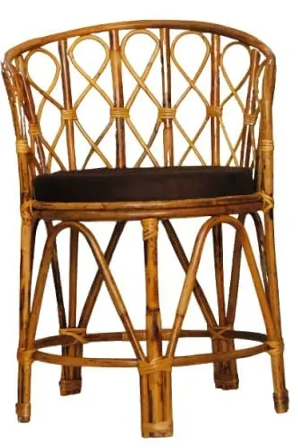 Cane_Rattan_Bait_Chair_With_Cushion_Room_Chair_Balcony_Chair