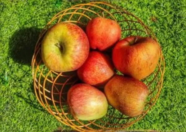 Bamboo_Round_Basket_For_Festival_Gift_Packing_Dry_Fruit_Basket_Fruit_Basket_Storage_Baskets_Wedding_Baskets_Dinning_Table_Basket_Size_9_Inch_Pack_Of_5