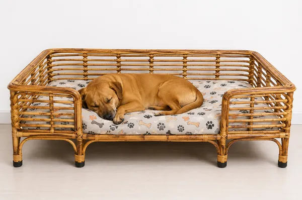 Extra_Large_Bamboo_Cane_Dog_Bed_40_X_26_Inch_Handcrafted_Rattan_Pet_Sofa_With_Foam_Mattress_Wooden_Finish_Heavy_Duty_Bed_For_Large_Dogs_Akita_Belgian_Malinois_German_Shepherd_Labrador