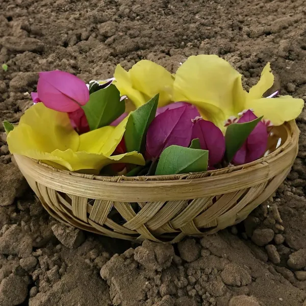 Handmade_Small_Bamboo_Basket_4_Inch_Dia_Pack_Of_10_For_Wedding_Dry_Fruit_Packing_Chocolate_Packaging