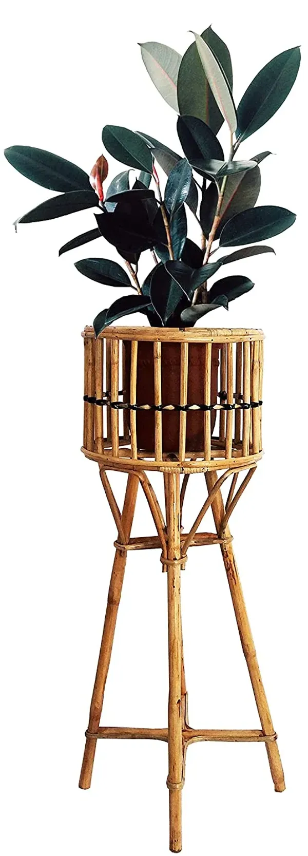 Bamboo_Cane_Planter_Stand_Nature_Handcrafted_For_Living_Room_For_Decor_Balcony_Outdoor_Indoor