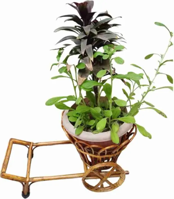 Bailagadai_Cane_Planter_Stand_Flower_Pot_Stand_For_Home_Living_Room_Bedroom_Balcony