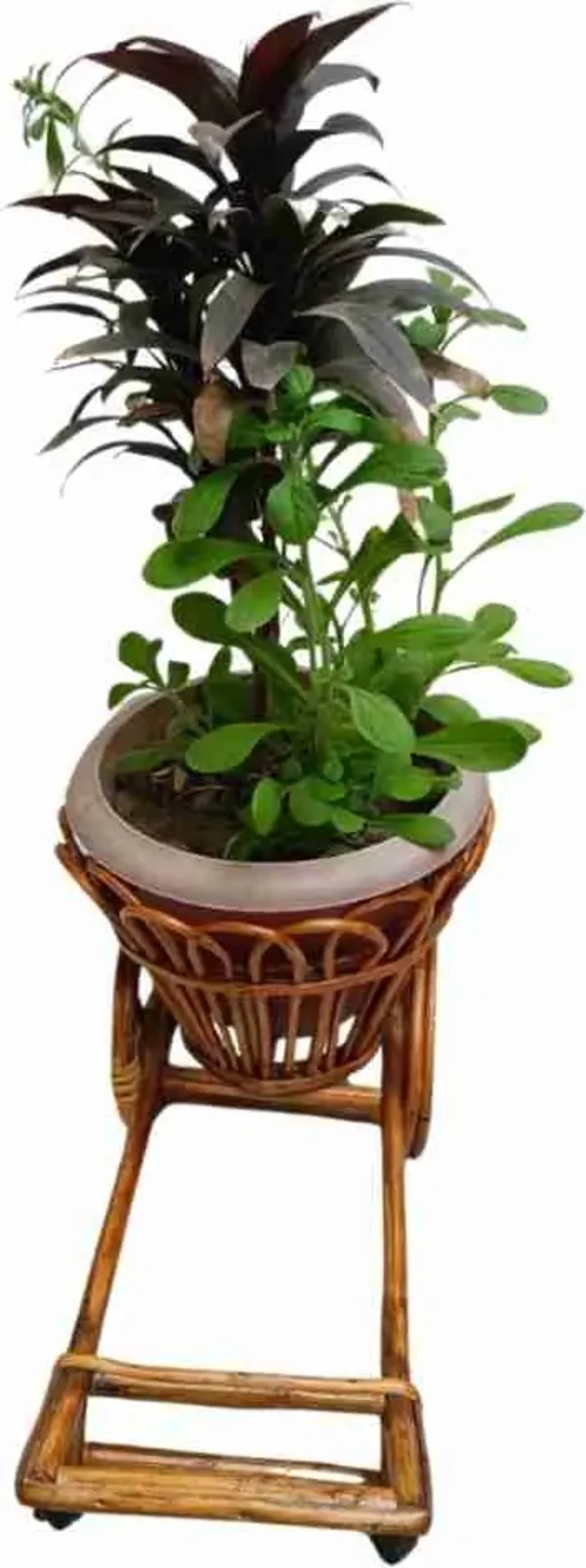 Bailagadai_Cane_Planter_Stand_Flower_Pot_Stand_For_Home_Living_Room_Bedroom_Balcony