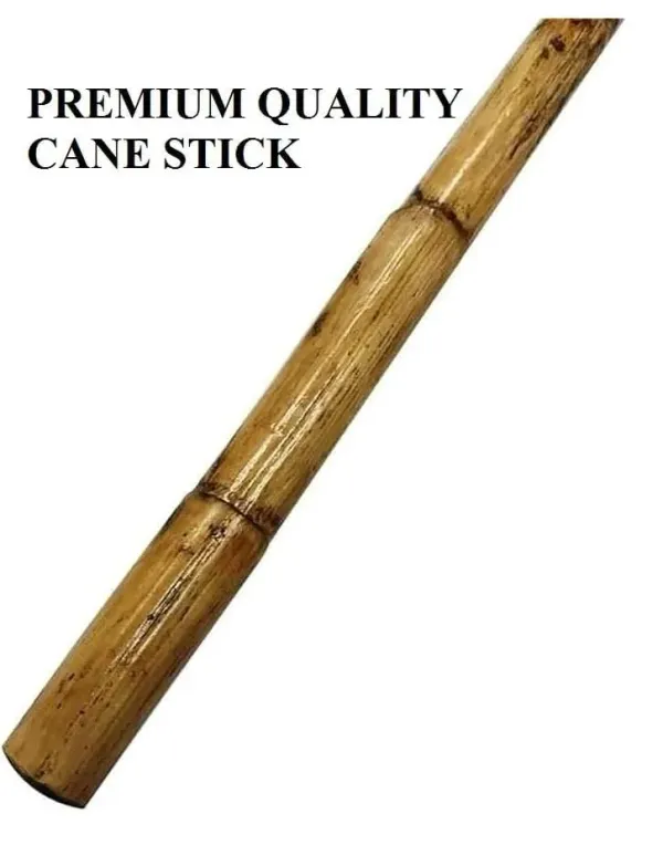 Wood_Bamboo_Cane_Stick_3_Ft_Animals_Rescue_Stick_Morning_Walk_Stick_Pack_Of_1